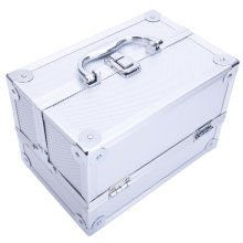 Large Portable Makeup Train Case Cosmetic Box Pro Aluminum Cosmetic Storage Organizer with Lock, Mirror and Large 2 Trays